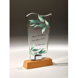 CRISTAL GRAB. LASER/UVI 20 CM (G1)