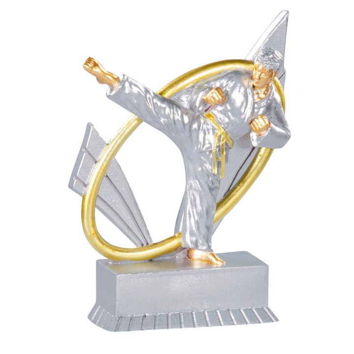 RESINA JUDO 12 cm (GP1-5)