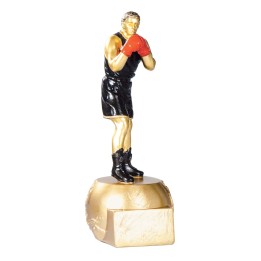 RESINA BOXEO 20 cm (GP1-5)