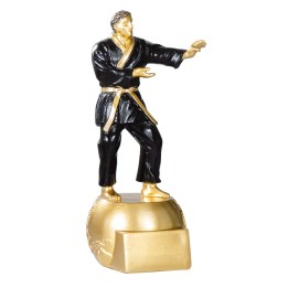 RESINA KARATE 20 cm (GP1-5)