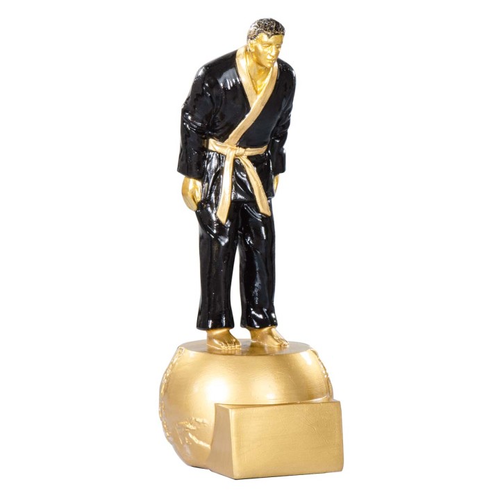 RESINA JUDO 20 cm (GP1-5)