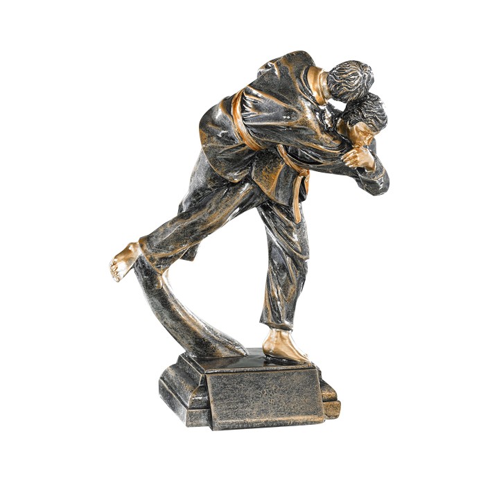 RESINA JUDO 23 CM (GP1-5)