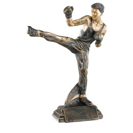 RESINA ARTES MARCIALES 27 CM (GP1-5)