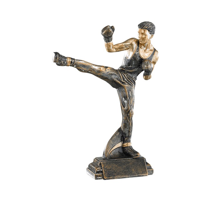 RESINA ARTES MARCIALES 27 CM (GP1-5)
