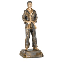 RESINA ARTES MARCIALES 42 CM (GP1-5)