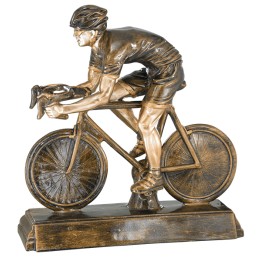 RESINA CICLISMO DE CARRETERA 37 x 34 CM (GP1-5)