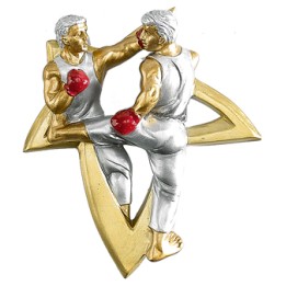 RESINA APLIQUE BOXEO