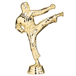 FIGURIN ABS ARTES MARCIALES