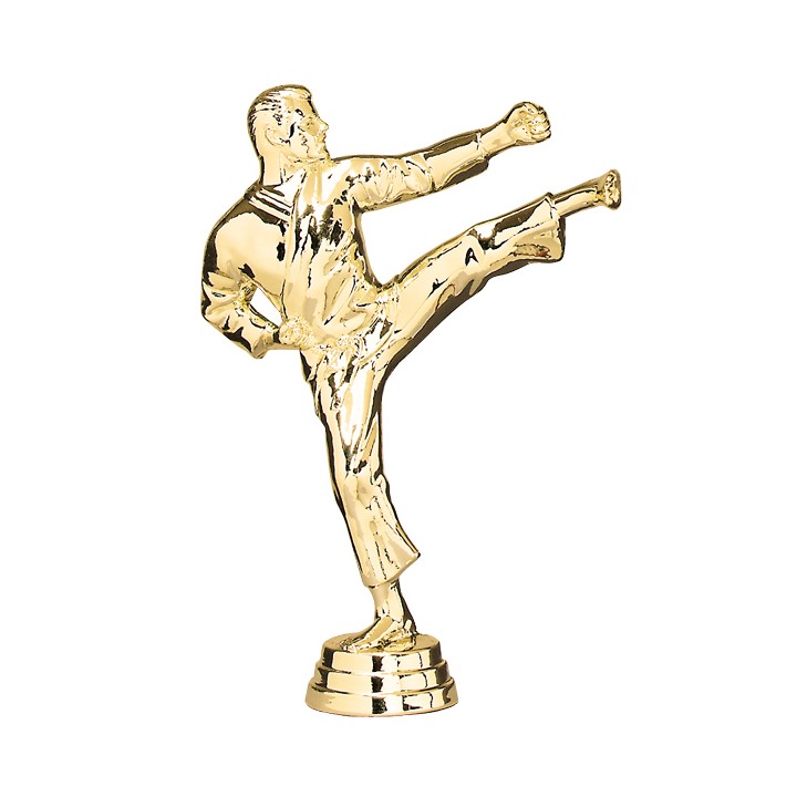 FIGURIN ABS ARTES MARCIALES