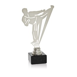 TROFEO METAL ARTES MARCIALES SERIE NTS METAL (GP1-5)