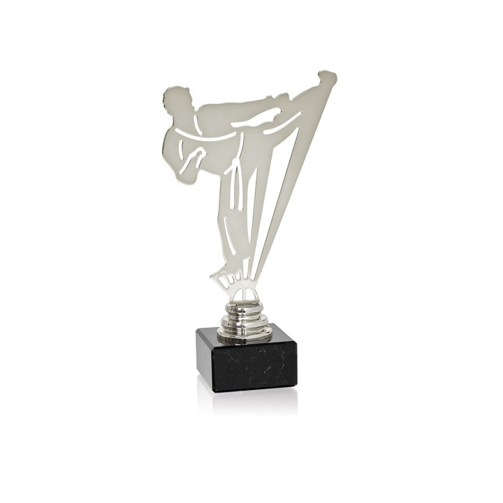 TROFEO METAL ARTES MARCIALES SERIE NTS METAL (GP1-5)