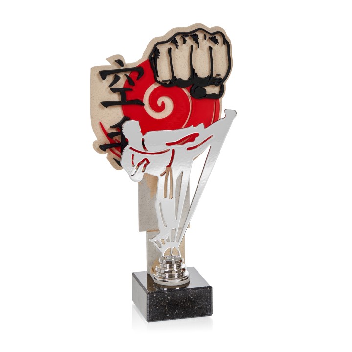  SERIE NTX ARTES MARCIALES (GP1-5)
