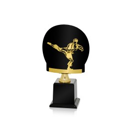 Serie FR Artes Marciales  (GP1-5)