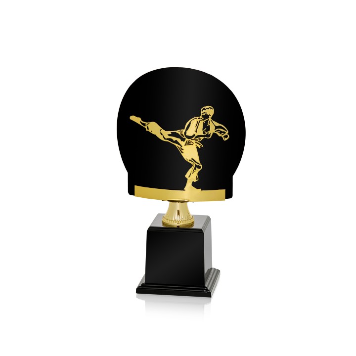Serie FR Artes Marciales  (GP1-5)
