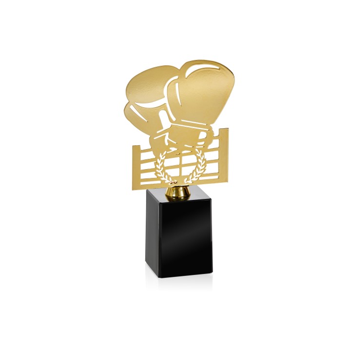 26/27 SERIE 55100 BOXEO (GP1-5)