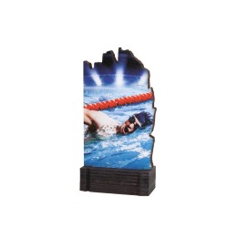 26/27 TROFEO MADERA NATACION . 13 CM (GP1-5)