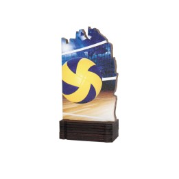 26/27 TROFEO MADERA VOLEIBOL . 13 CM (GP1-5)