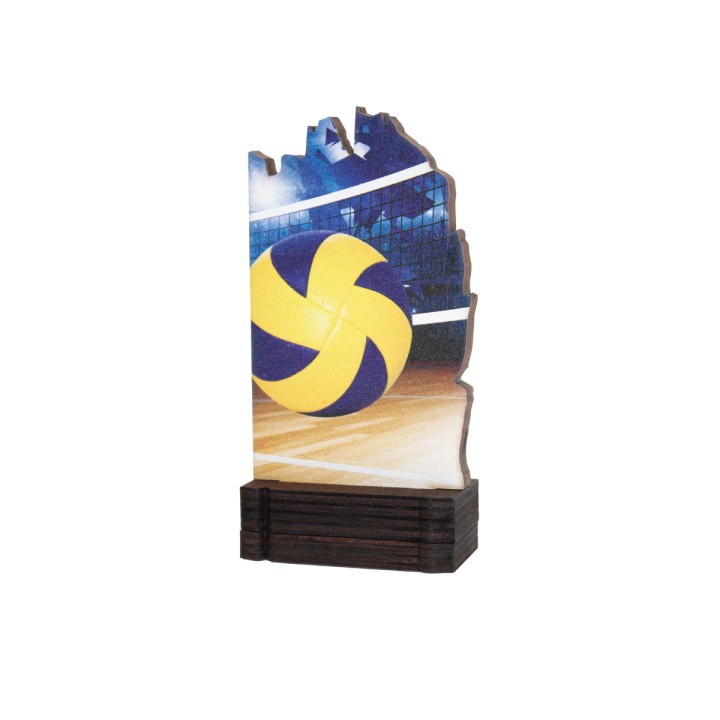 26/27 TROFEO MADERA VOLEIBOL . 13 CM (GP1-5)