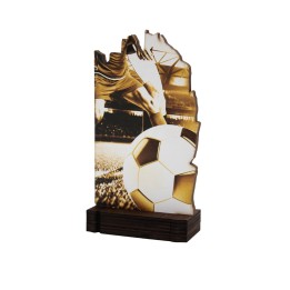26/27 TROFEO MADERA FUTBOL . 19 CM (GP1-5)