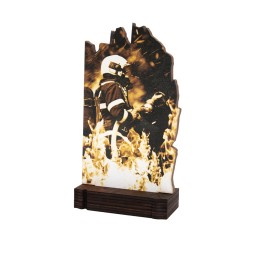 26/27 TROFEO MADERA BOMBEROS . 19 CM (GP1-5)