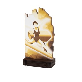 26/27 TROFEO MADERA G. ARTISTICA . 19 CM (GP1-5)