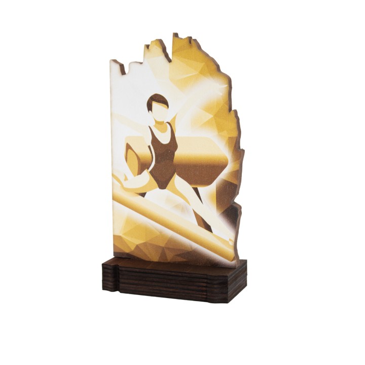 26/27 TROFEO MADERA G. ARTISTICA . 19 CM (GP1-5)