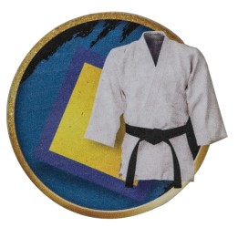 26/27 APLIQUE MADERA KARATE