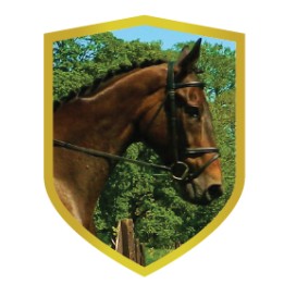 26/27 APLIQUE ALUMINIO CABALLO 