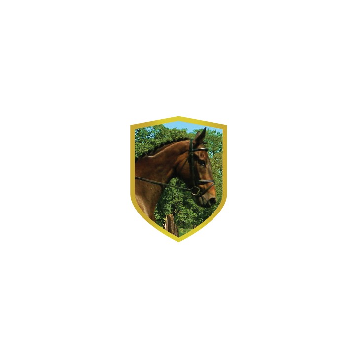 26/27 APLIQUE ALUMINIO CABALLO 