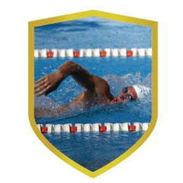26/27 APLIQUE ALUMINIO NATACION 