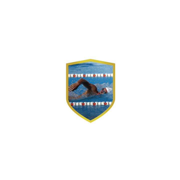 26/27 APLIQUE ALUMINIO NATACION 