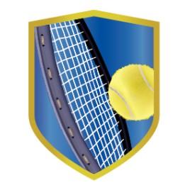 26/27 APLIQUE ALUMINIO TENIS 