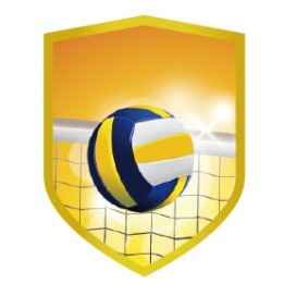 26/27 APLIQUE ALUMINIO VOLEIBOL 