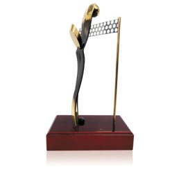 TROFEO SOLDART VOLEYBALL 24 cm