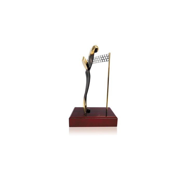 TROFEO SOLDART VOLEYBALL 24 cm