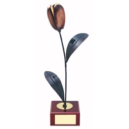 TROFEO SOLDART FLORES 31 CM