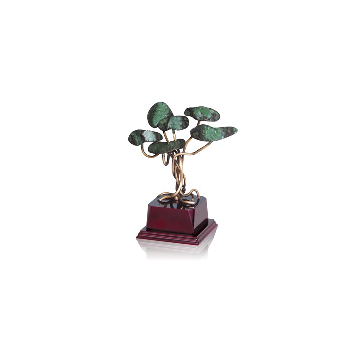TROFEO SOLDART OLIVO 24 cm