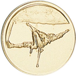 DISCO DORADO ESCALADA Ø 5 CM