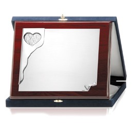 PLACAS SOLDART CON ESTUCHE INCLUIDO 24x19 cm