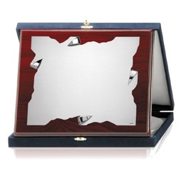 PLACAS SOLDART CON ESTUCHE INCLUIDO 24x19 cm