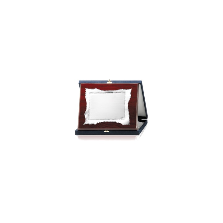 PLACAS SOLDART CON ESTUCHE INCLUIDO 24x19 cm