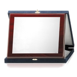 PLACAS SOLDART CON ESTUCHE INCLUIDO 24x19 cm
