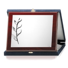 PLACAS SOLDART CON ESTUCHE INCLUIDO 24x19 cm