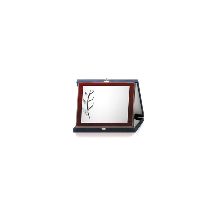 PLACAS SOLDART CON ESTUCHE INCLUIDO 24x19 cm
