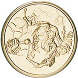 DISCO DORADO CANTO Ø 2,5 CM