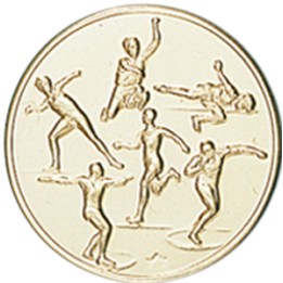 DISCO DORADO MULTIDEPORTES Ø 2,5 CM