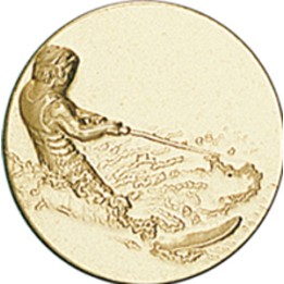DISCO DORADO SKY ACUATICO Ø 5 CM