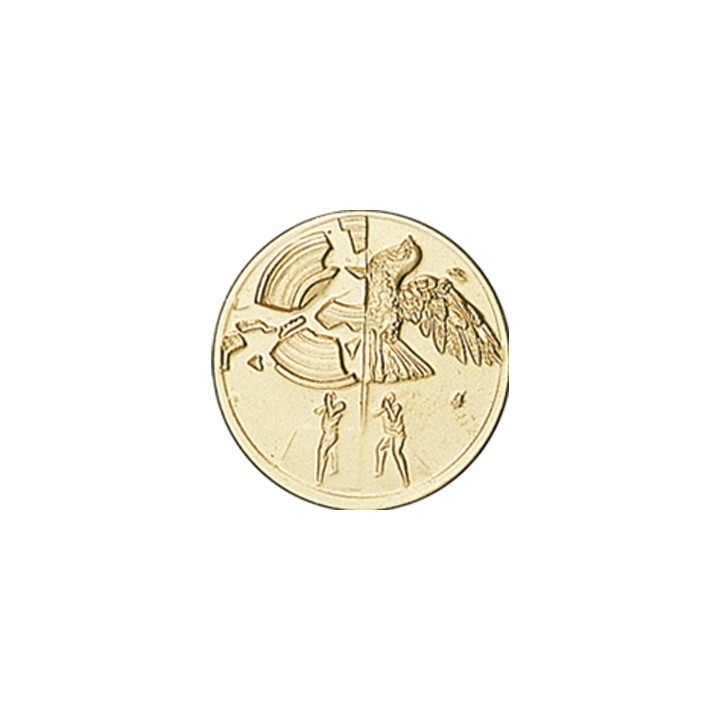 DISCO DORADO TIRO Ø 5 CM