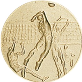 DISCO DORADO BALONMANO Ø 5 CM