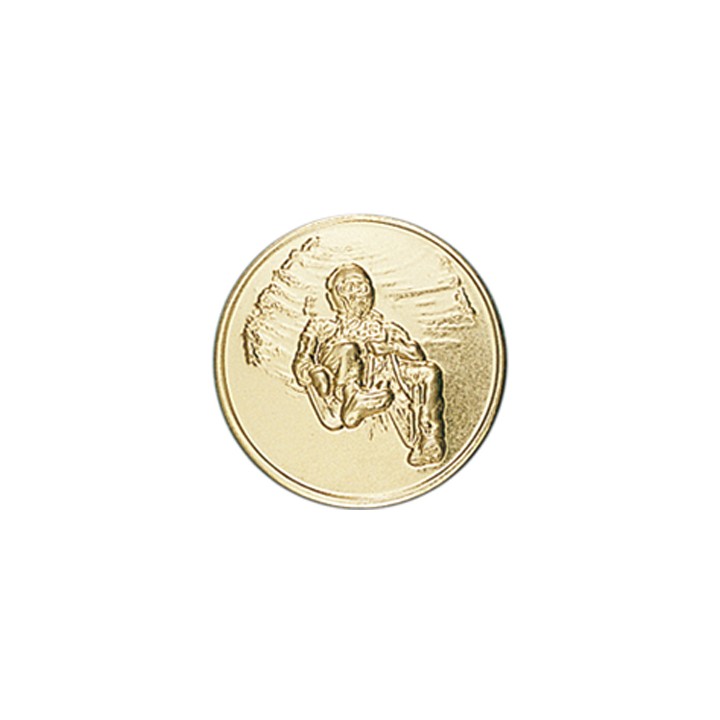 DISCO DORADO TRINEO Ø 5 CM